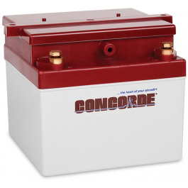 Battery, Concorde RG-24-11 Recombinant Sealed 24 Volt