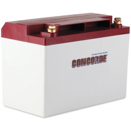 Battery, Concorde RG-25 Recombinant Sealed 12 Volt